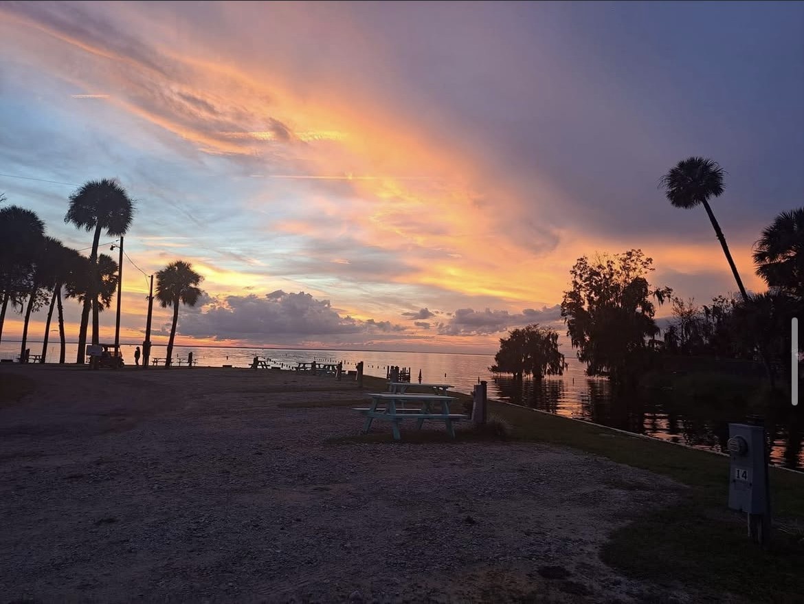 Cotton candy sky over the park